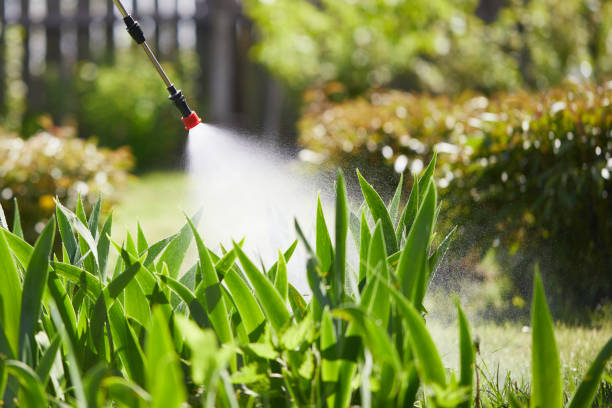 24/7 Emergency Mosquito Control experts in West Dennis, MA