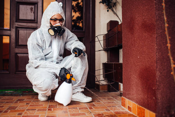 Reliable Mosquito Control contractor in West Dennis, MA by Show Me Pest Control
